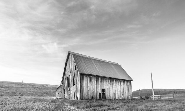 Barn