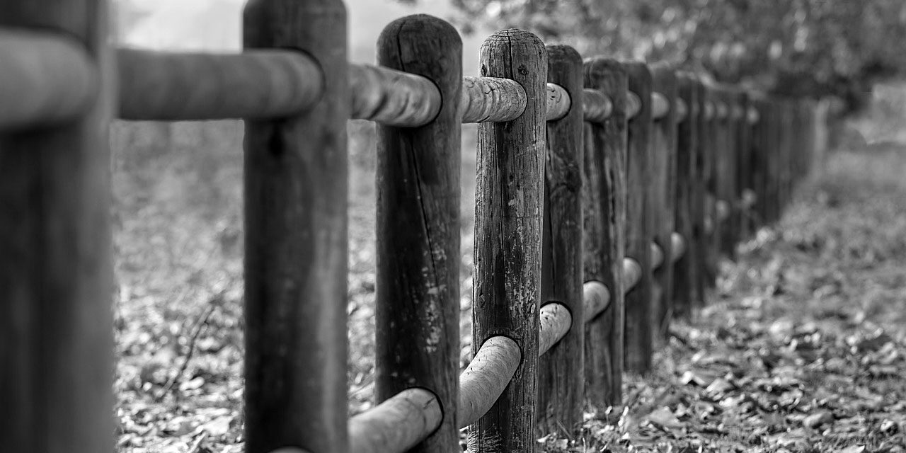 fence