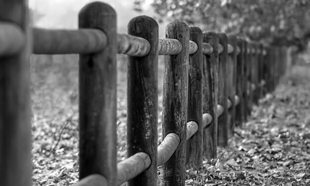 fence